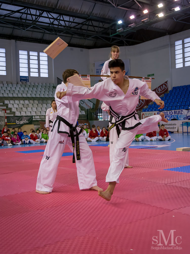 TAEKWONDO CAMPEONATO PAREJAS ABRIL 2018_2075.jpg
